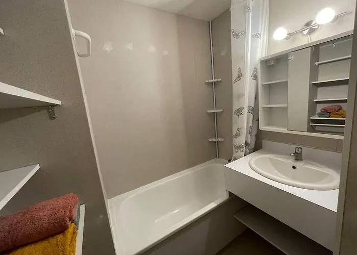 Daire Aux Pieds Des Pistes - Montalbert - Panorama 1350